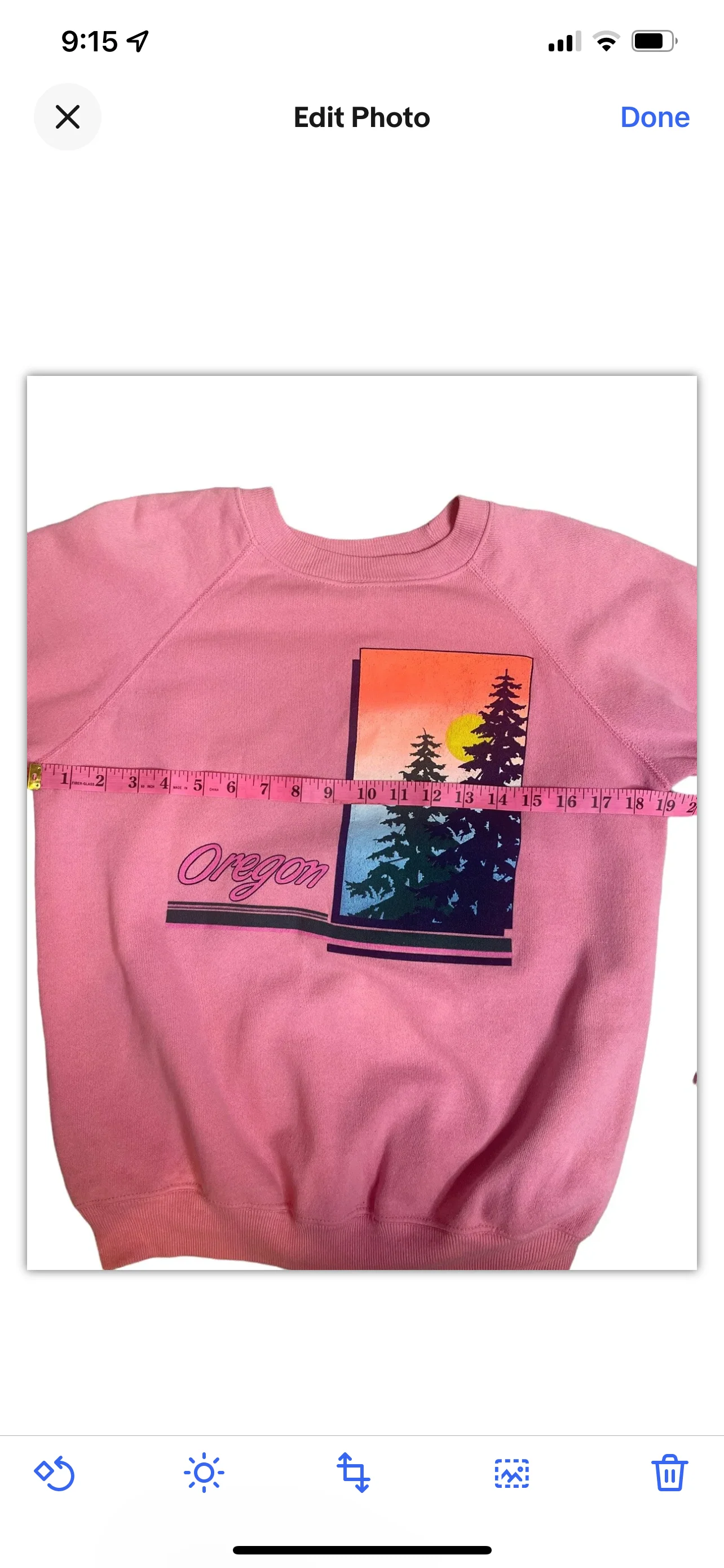 80s/90s State Of Oregon Tree Sunset Sky Graphic Sweatshirt By Hanes - Image 4