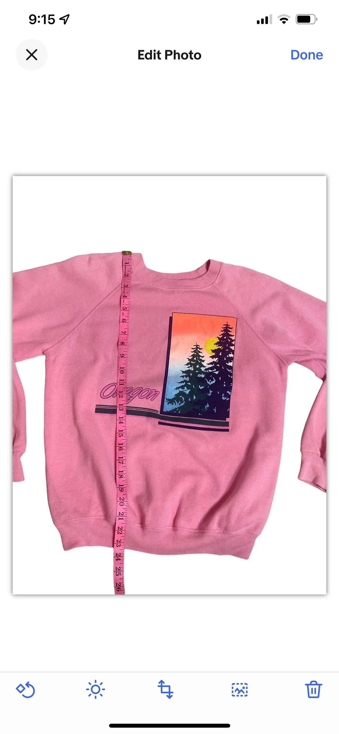 80s/90s State Of Oregon Tree Sunset Sky Graphic Sweatshirt By Hanes - Image 5
