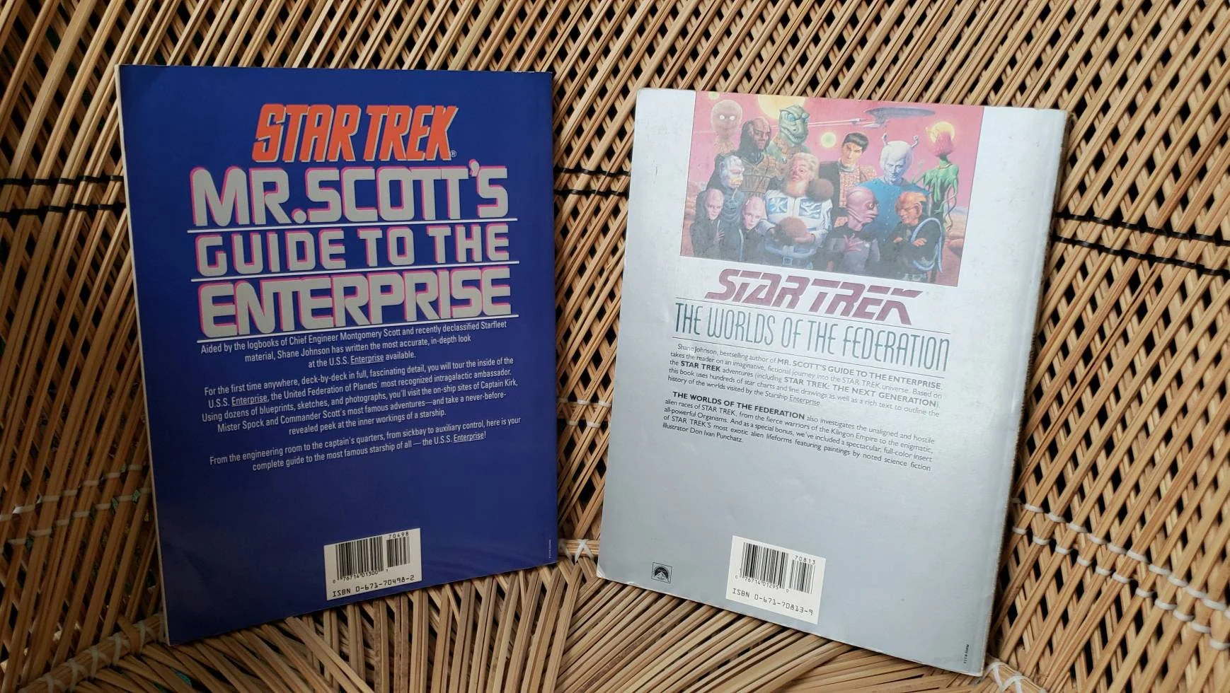80s Star Trek Books Set of 2 1987 Star Trek Mr. Scott's Guide To The Enterprise and 1989 Star Trek The Worlds of The Federation by Shane Johnson - Image 4