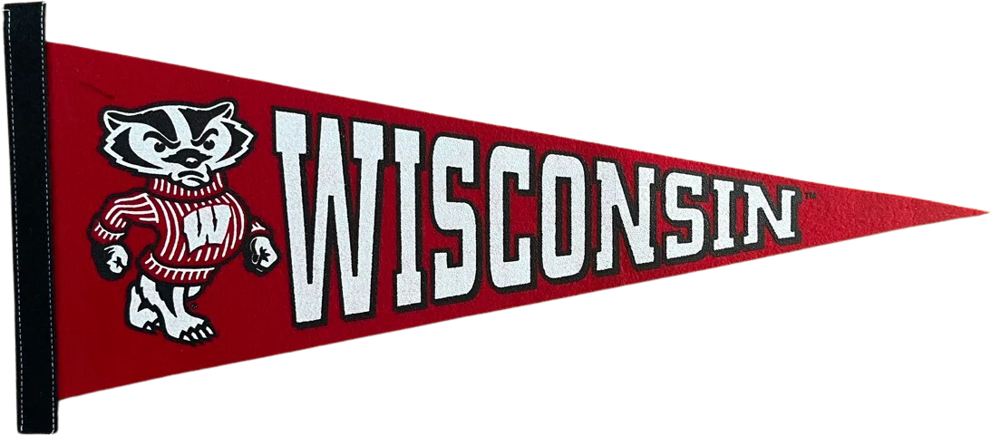 80s University Of Wisconsin Badgers Felt Pennant