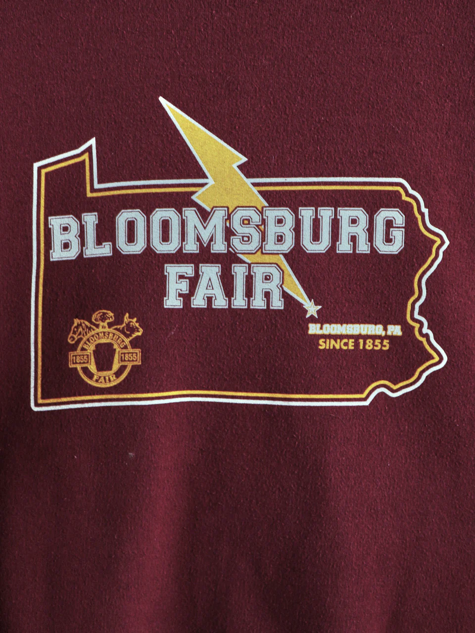 90s/00s "bloomsburg Fair" Sweatshirt By Jerzees - Image 3