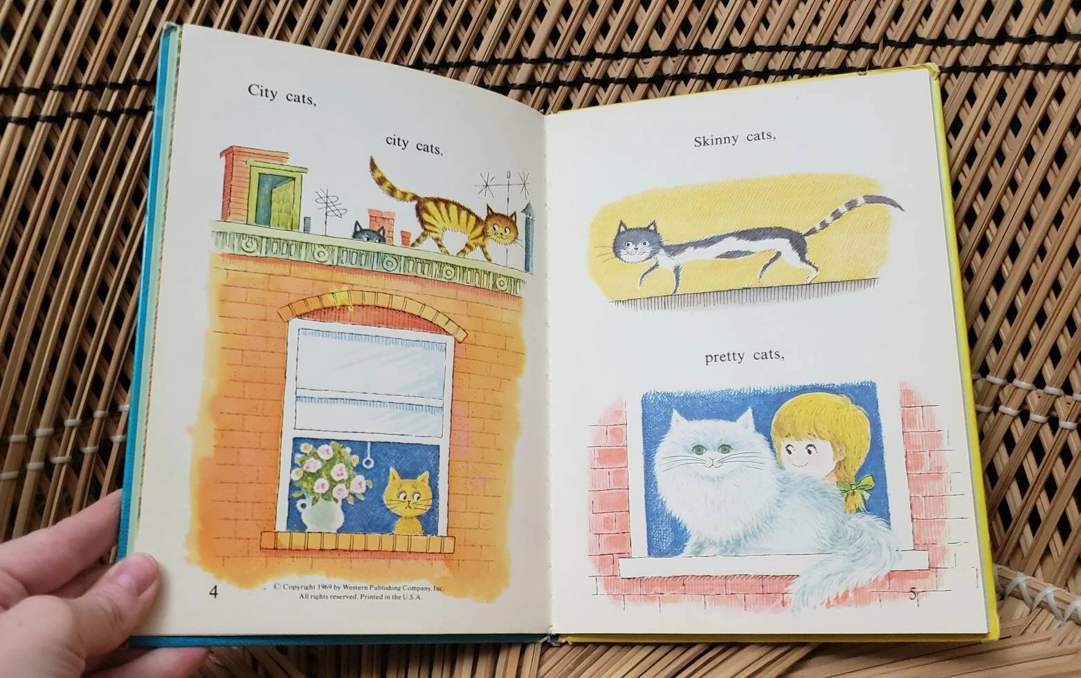 As Is 1969 City Cats Country Cats by Barbara Shook Hazen - Image 5