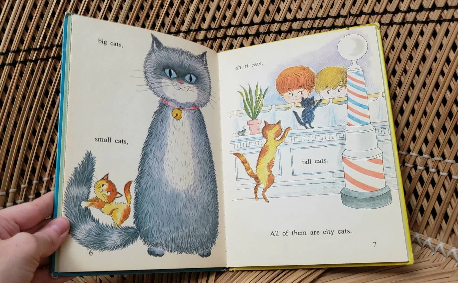 As Is 1969 City Cats Country Cats by Barbara Shook Hazen - Image 6