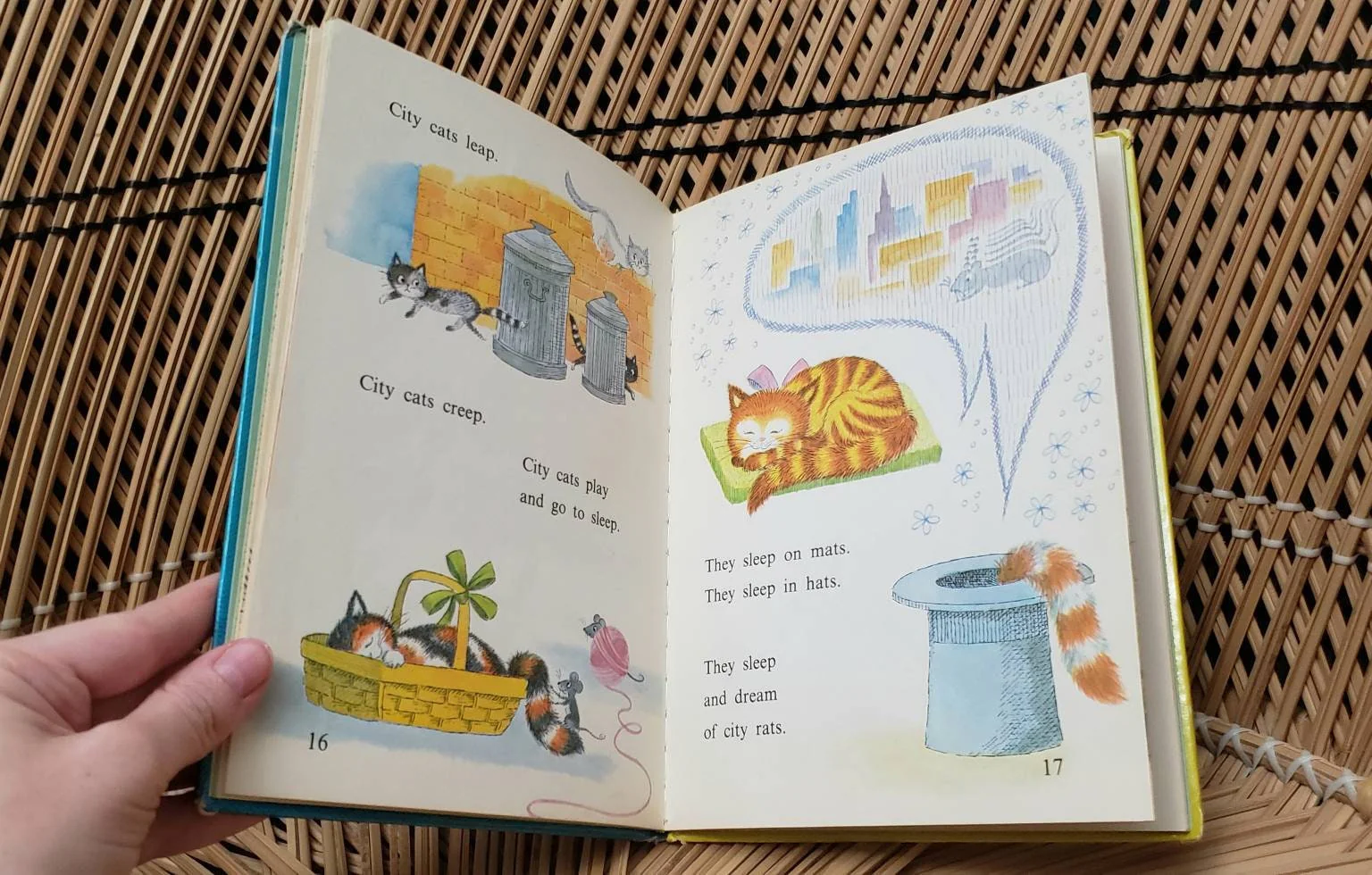 As Is 1969 City Cats Country Cats by Barbara Shook Hazen - Image 7