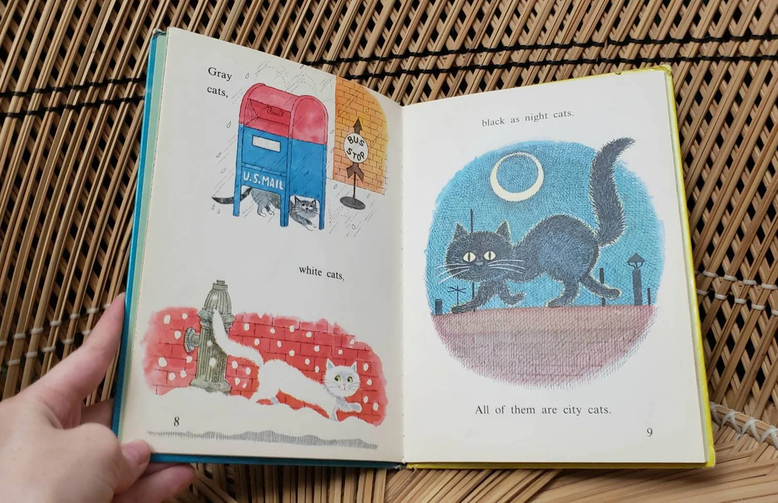 As Is 1969 City Cats Country Cats by Barbara Shook Hazen - Image 8