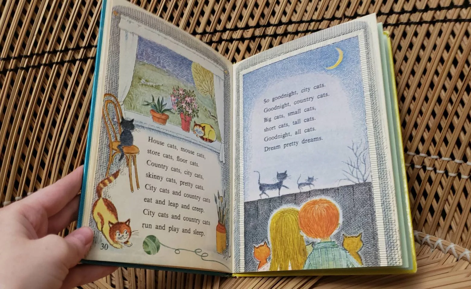 As Is 1969 City Cats Country Cats by Barbara Shook Hazen - Image 9