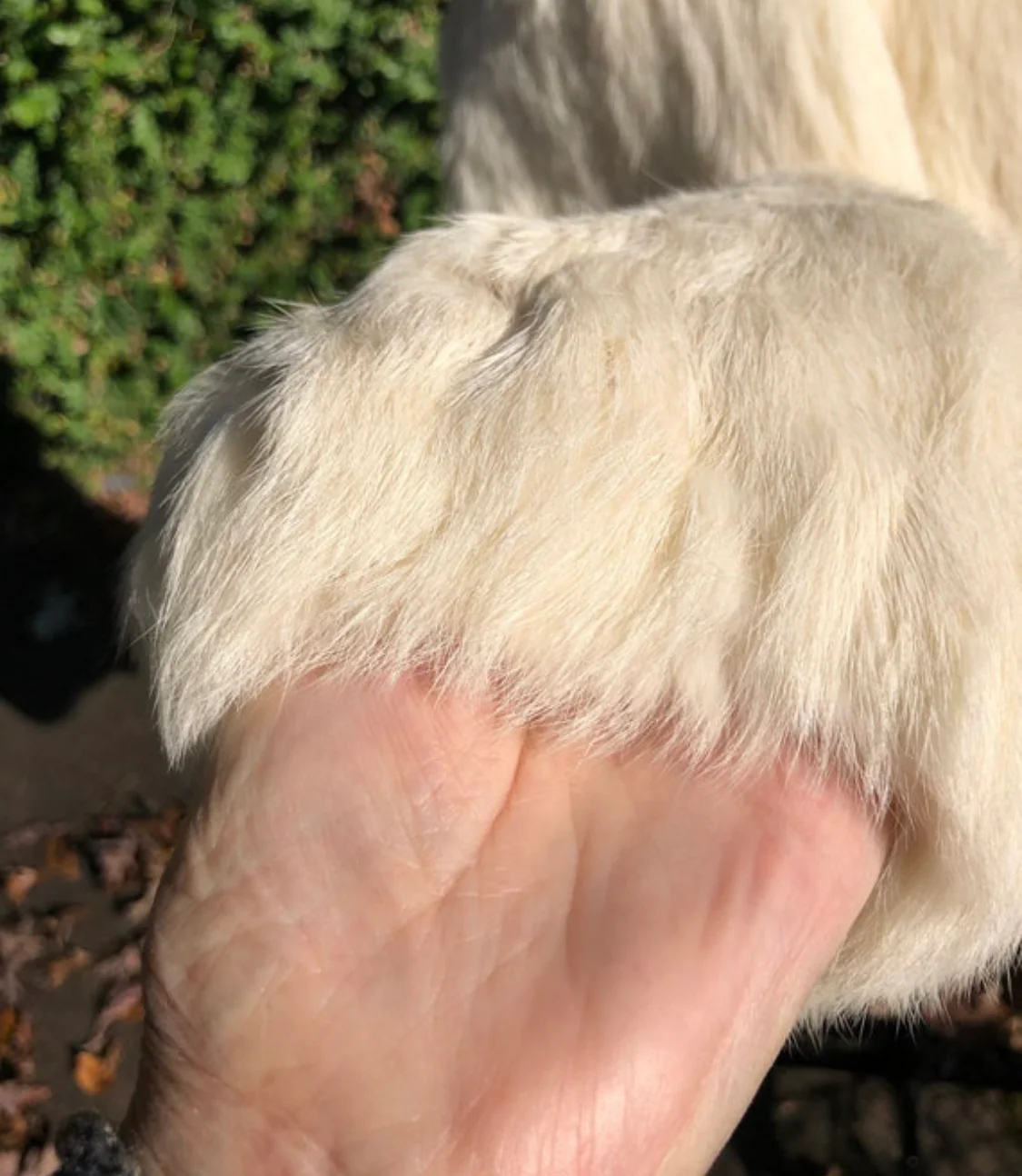 Beautiful 70s Rabbit Fur Coat - Image 7