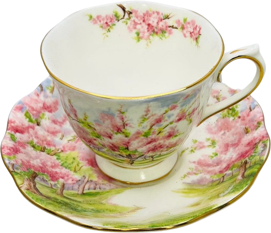 60s Blossom Time Fine Bone China England Teacup and Saucer By Royal Albert LTD