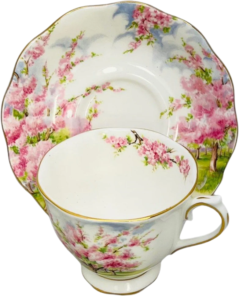 60s Blossom Time Fine Bone China England Teacup and Saucer By Royal Albert LTD - Image 2