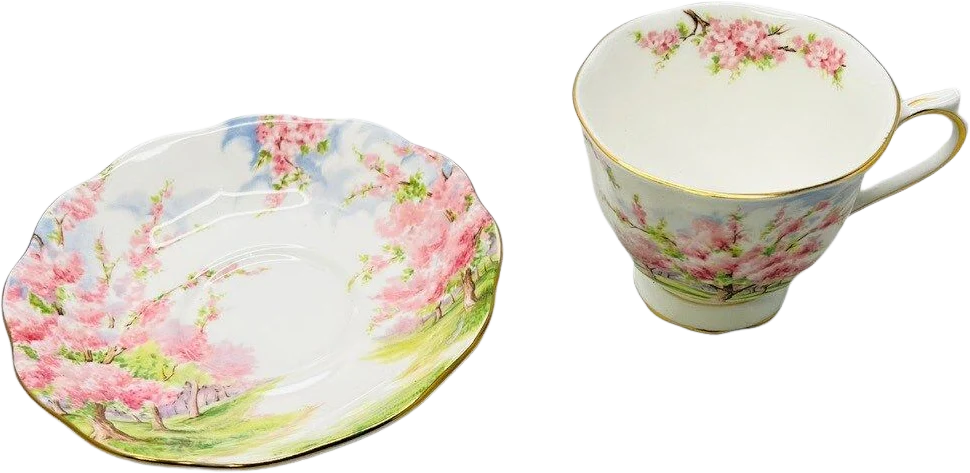 60s Blossom Time Fine Bone China England Teacup and Saucer By Royal Albert LTD - Image 3