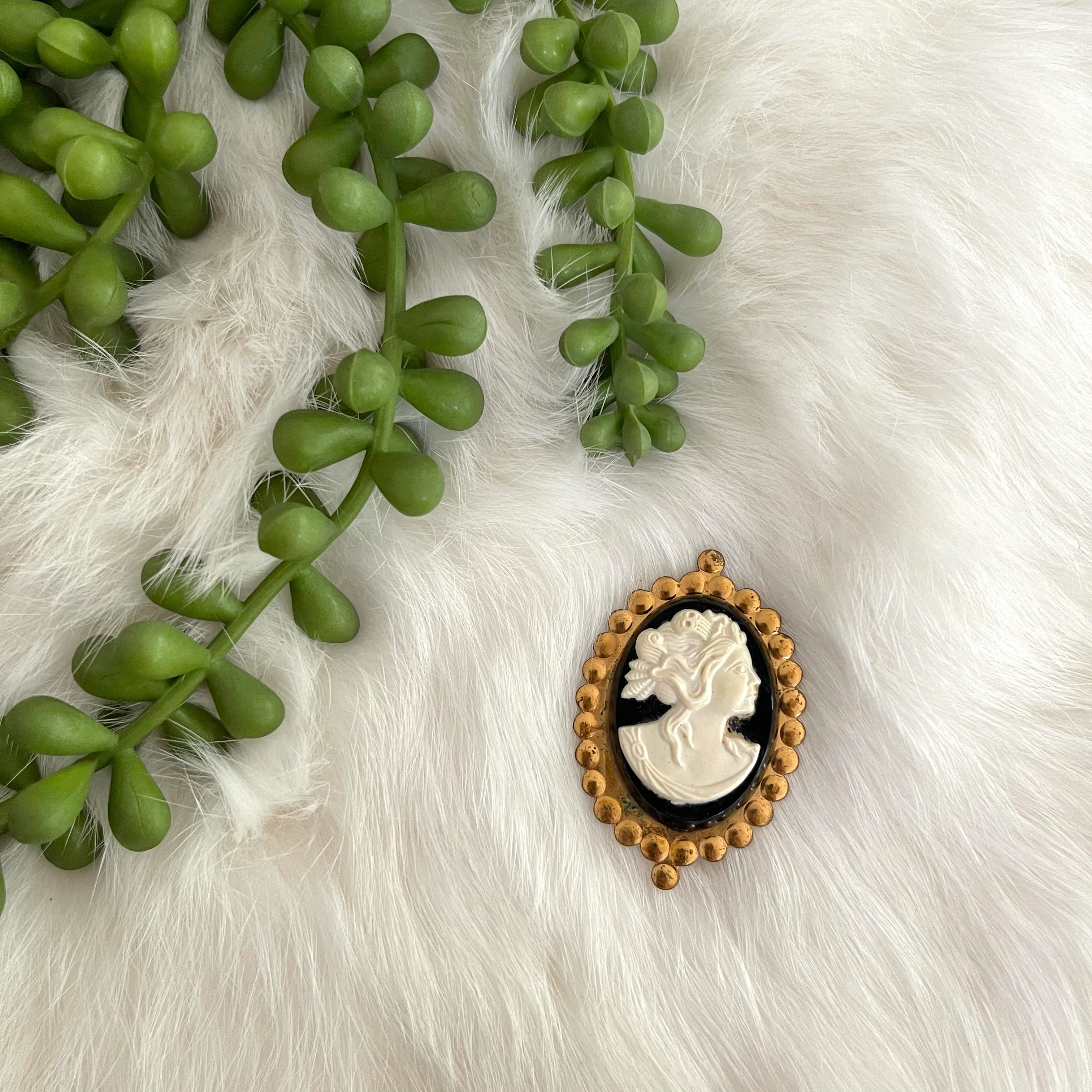 Cameo Brooch - Image 3