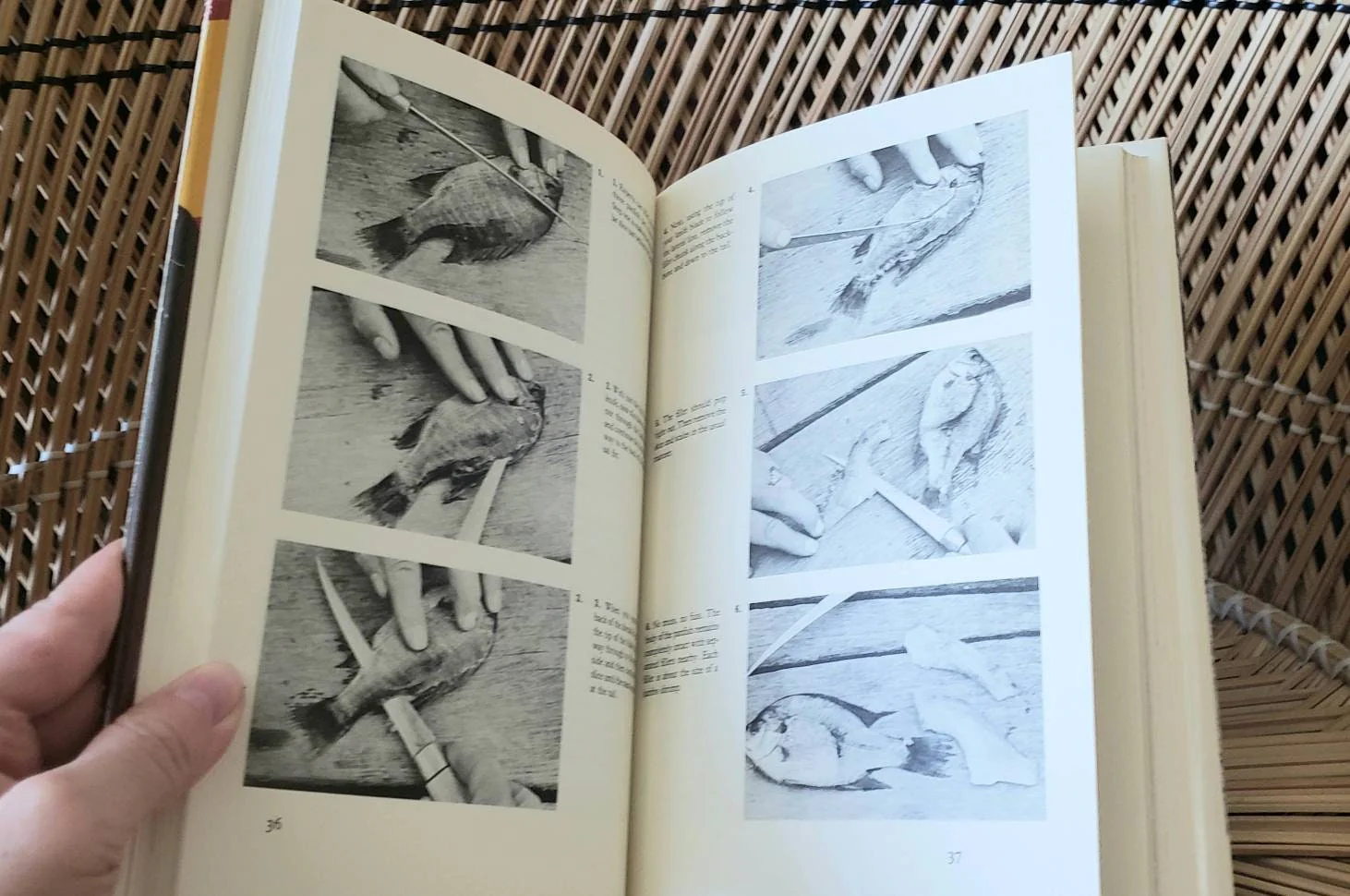 Clearance 1982 Care and Cooking of Fish and Game by John Weiss - Image 5