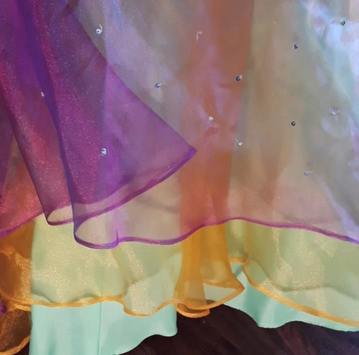 Sheer Iridescent Multicolor chiffon Formal Dress by Clarisse - Image 5