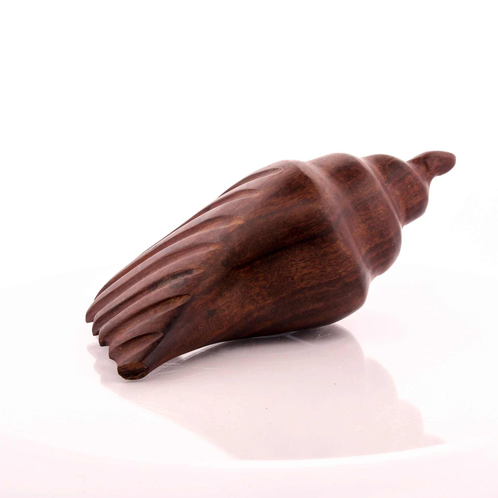 Hand-Carved Ironwood Nautilus Conch Shell - Image 4