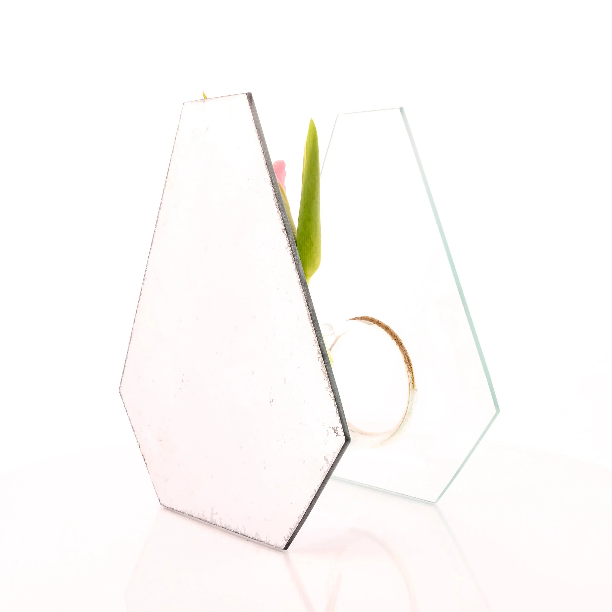 Iridescent Mirror Planter Vase - Image 6
