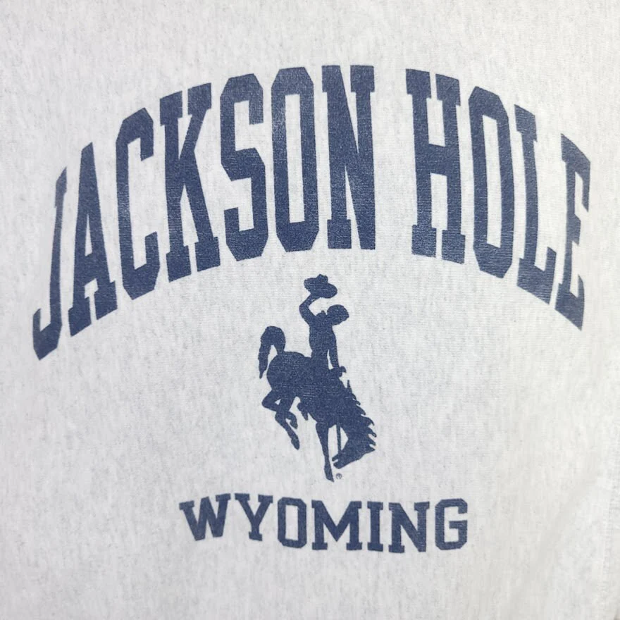 Jackson Hole Wyoming Sweatshirt Vintage 00s Champion Reverse Weave Mens Size Small - Image 2
