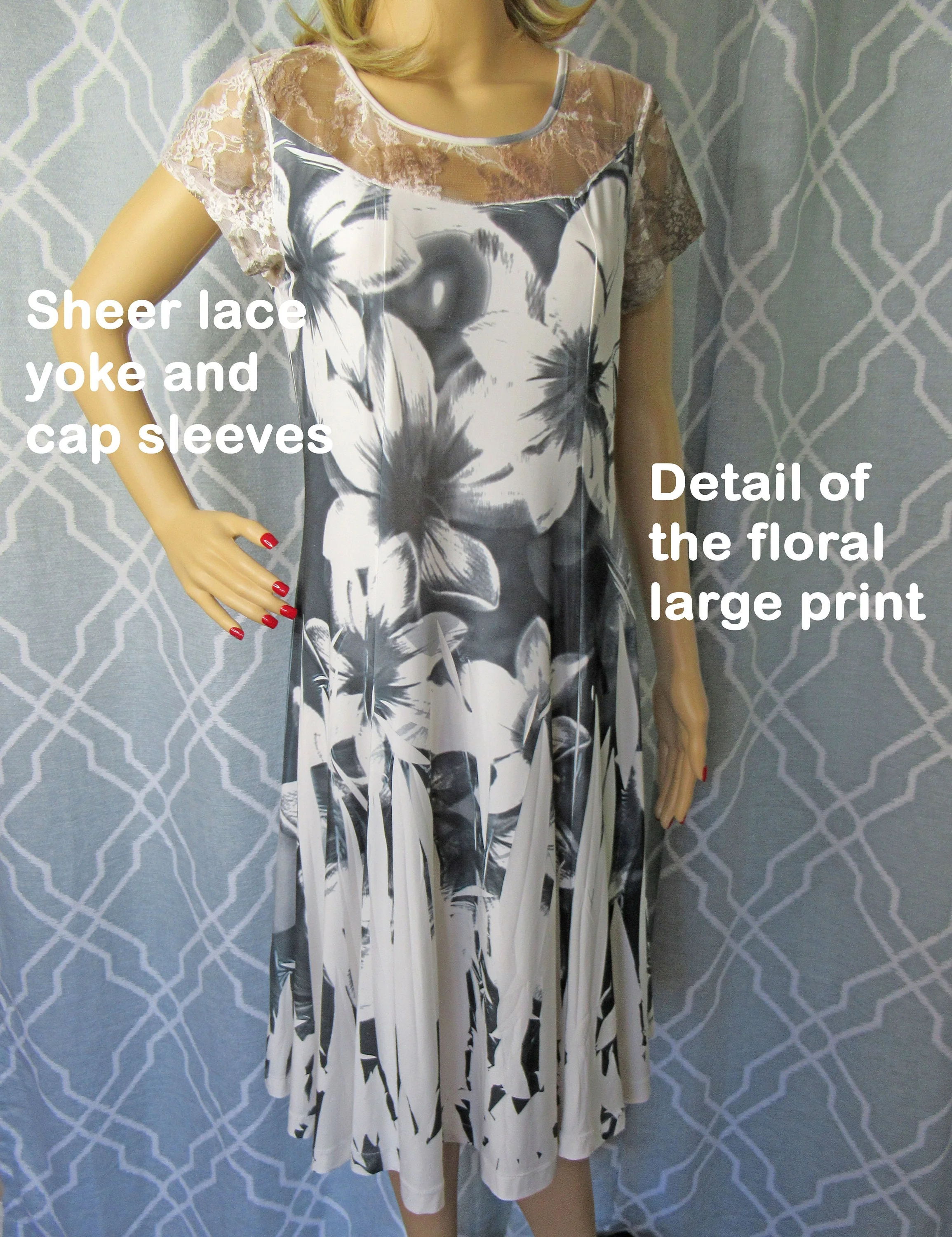 Lace Neckline 34 - 38 Bust Dress Polyester with 8% Spandex Reina Sheer Top Full Sweep Skirt Cap Sleeves White/black/gray Made In Usa by Designed by Reina - Image 6