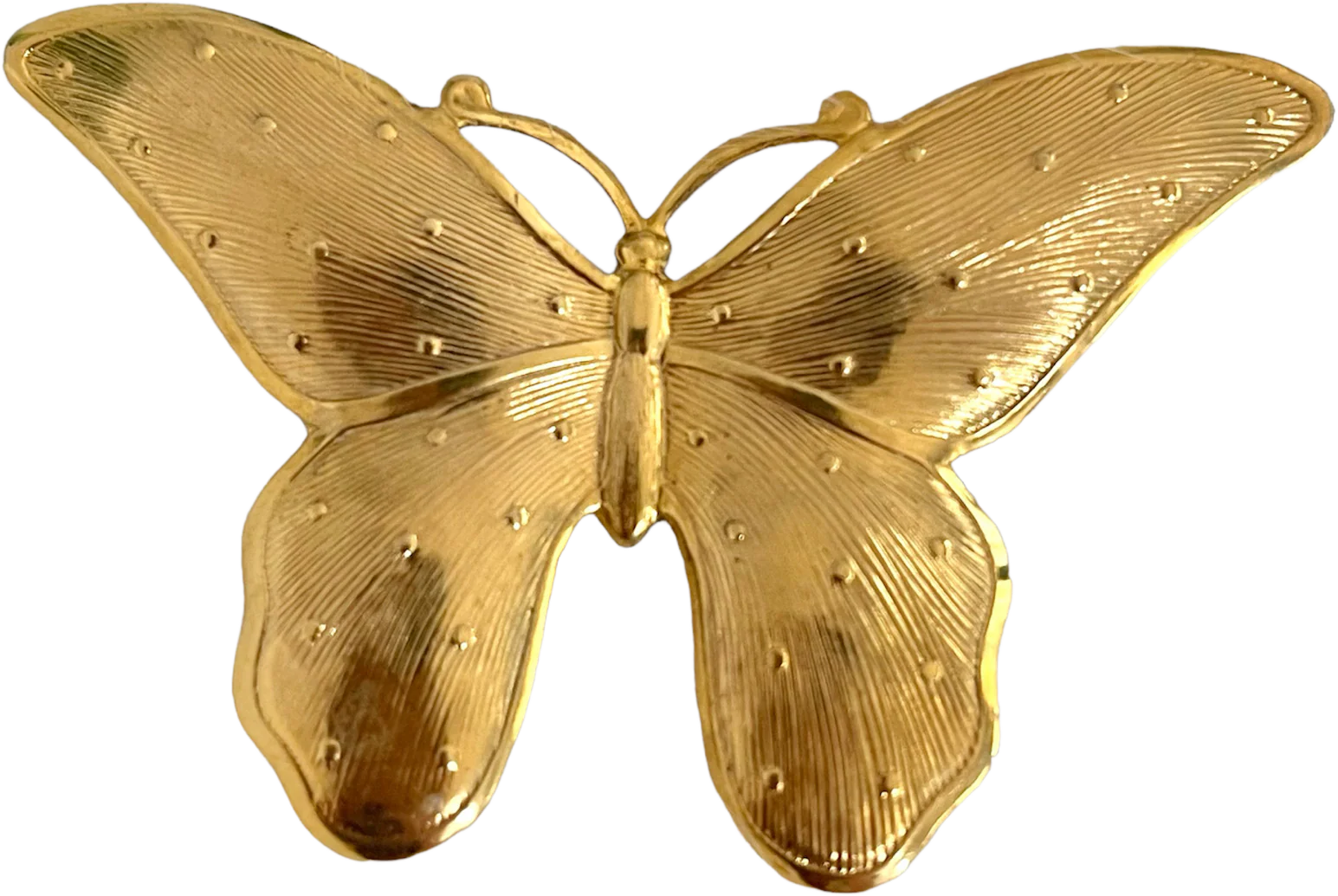 Large Textured Butterfly Brooch