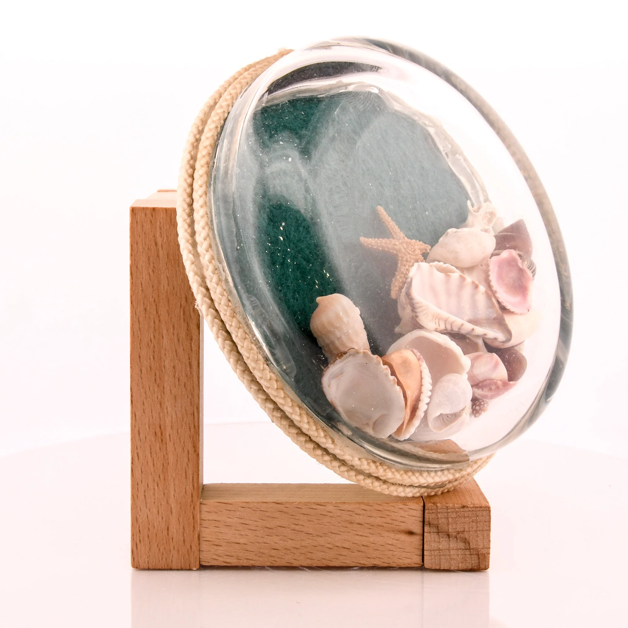 Midcentury Seashell Mini Starfish Coral Collection Paper Weight - Image 8