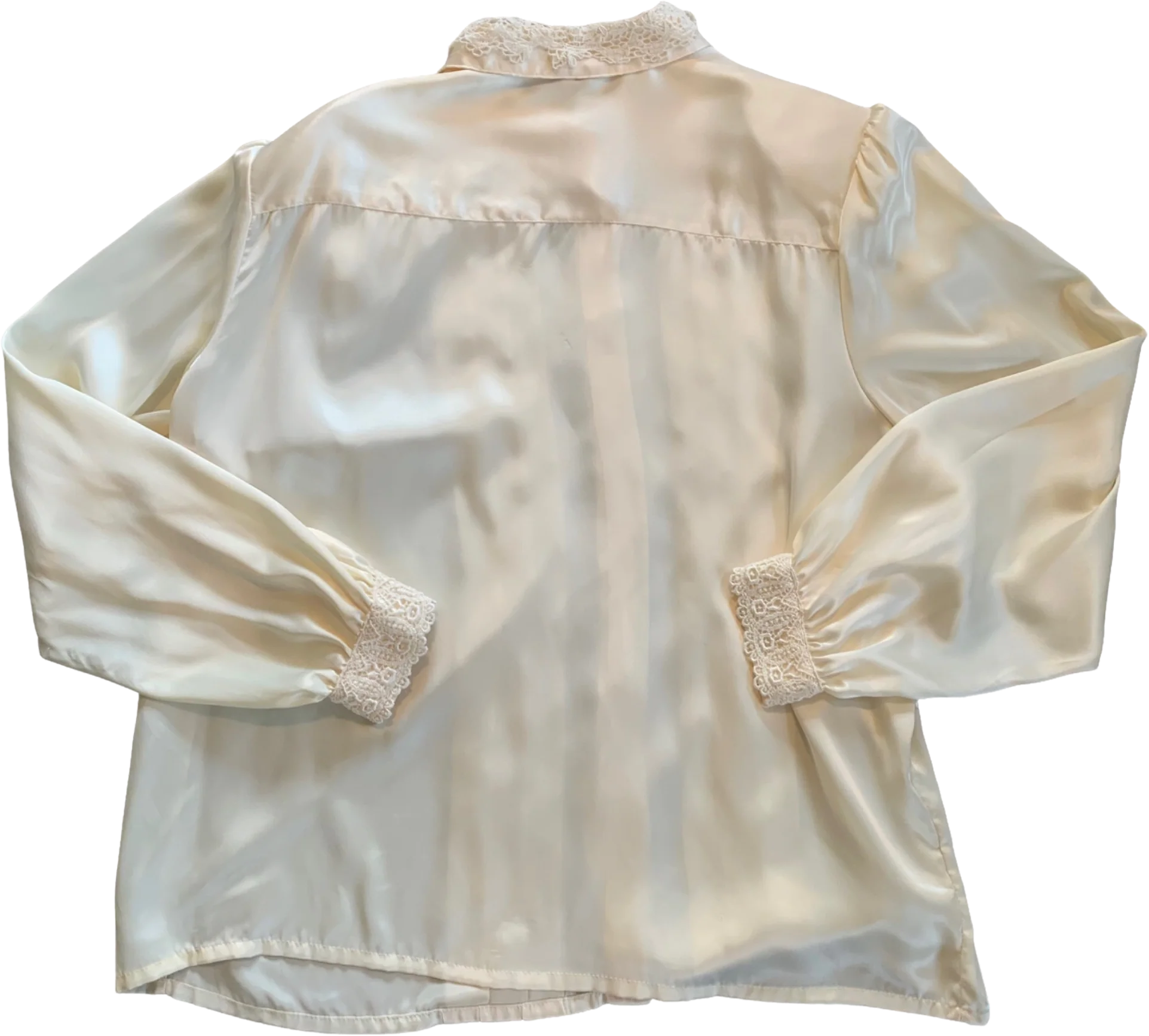 Pleated Floral Crocheted Collar Romantic Blouse By Liz Baker - Image 2