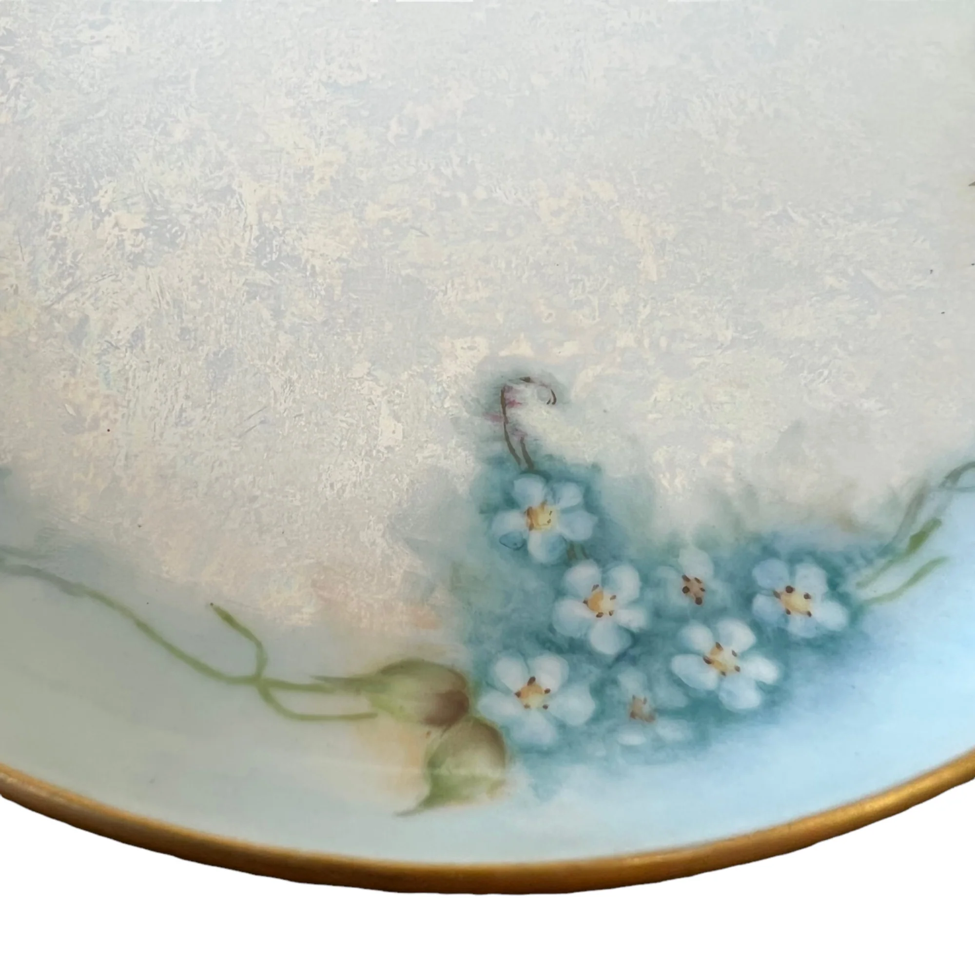 Silesia Hand Painted Porcelain Floral Tray Plate By Tillowitz - Image 5