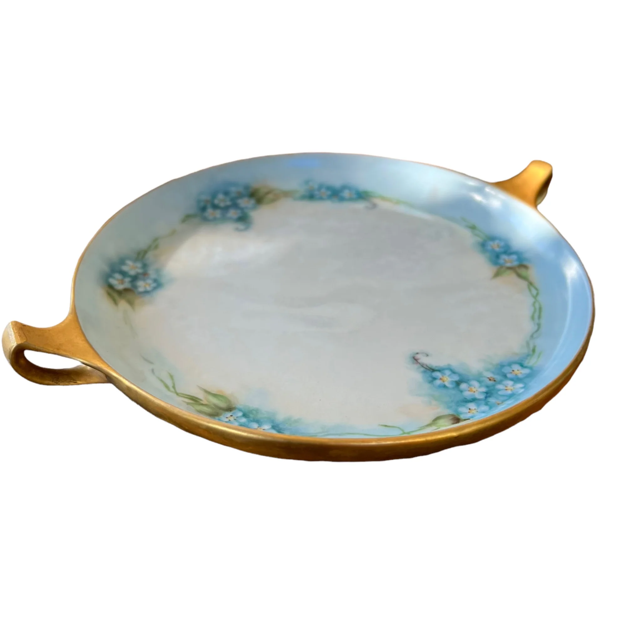 Silesia Hand Painted Porcelain Floral Tray Plate By Tillowitz - Image 7