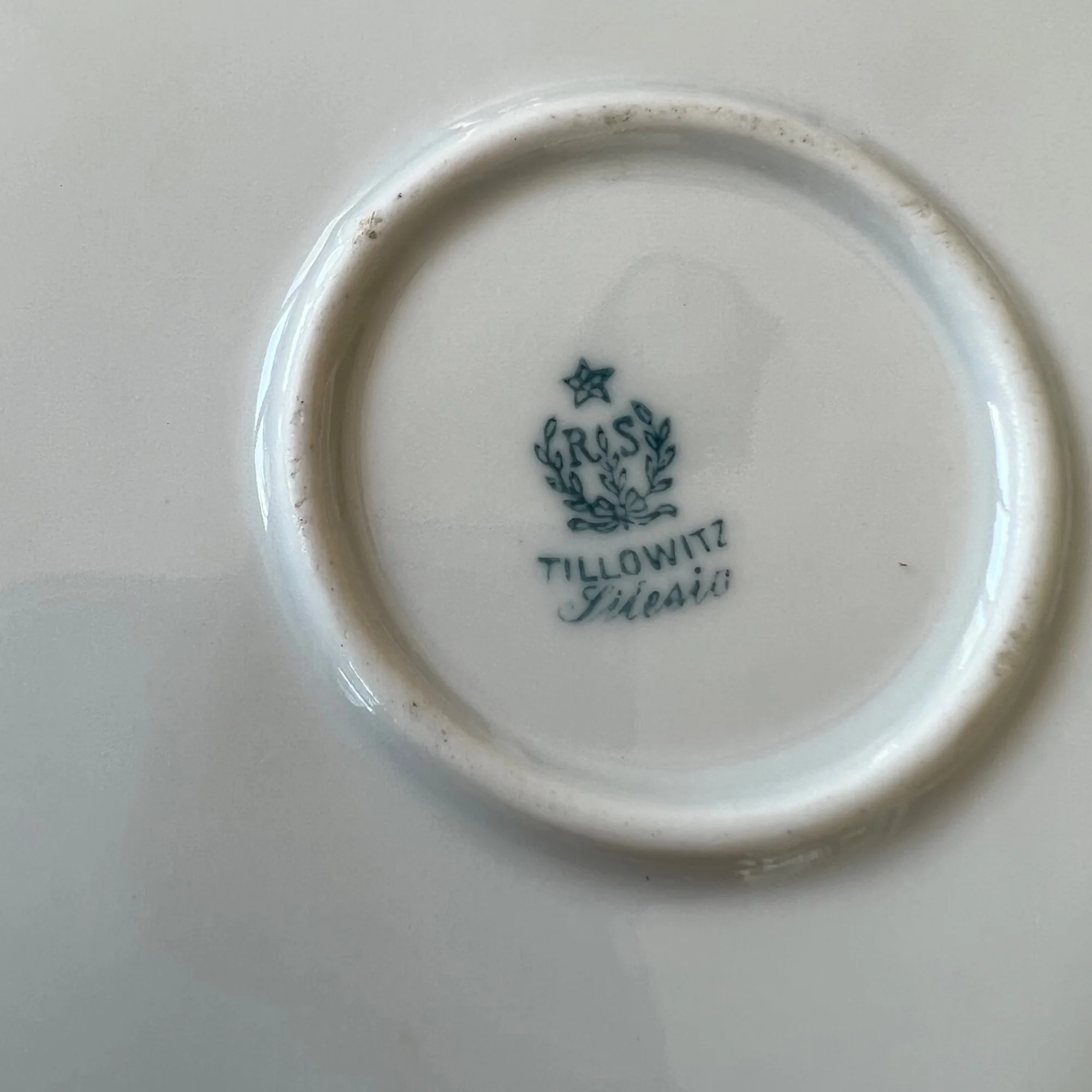 Silesia Hand Painted Porcelain Floral Tray Plate By Tillowitz - Image 9