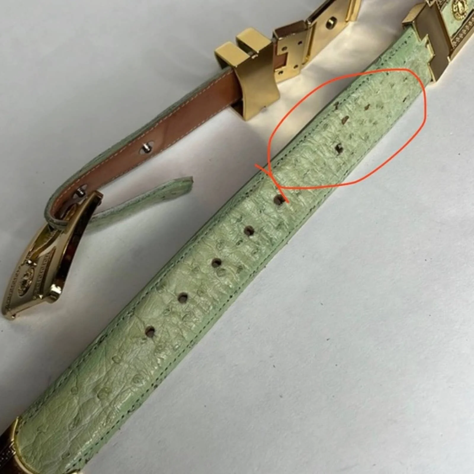 Vintage 00s Versace Belt Lime Green Ostrich Leather by Versace - Image 7