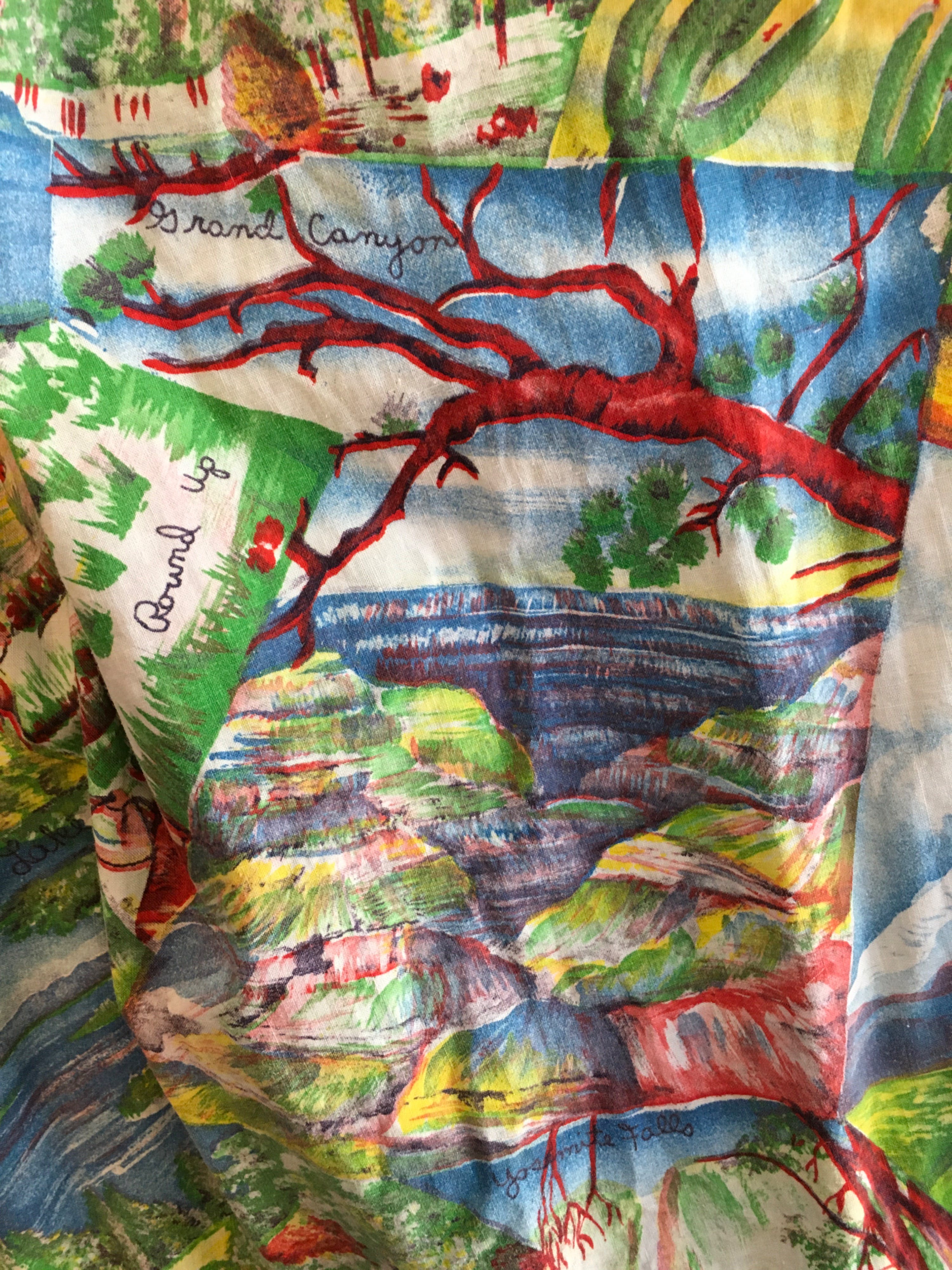 50’s Travel Novelty Print Tourist Skirt Out West Grand Canyon by Vintage - Image 6