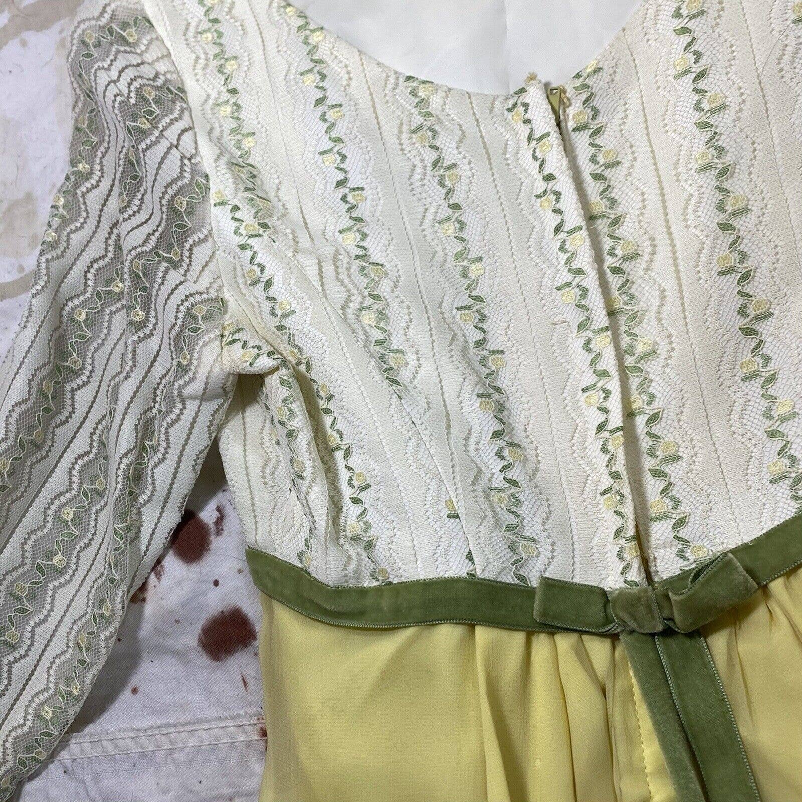Vintage 60s Long Sleeve Empire Waist Maxi Dress Regency Lace Chiffon Velvet - Image 11
