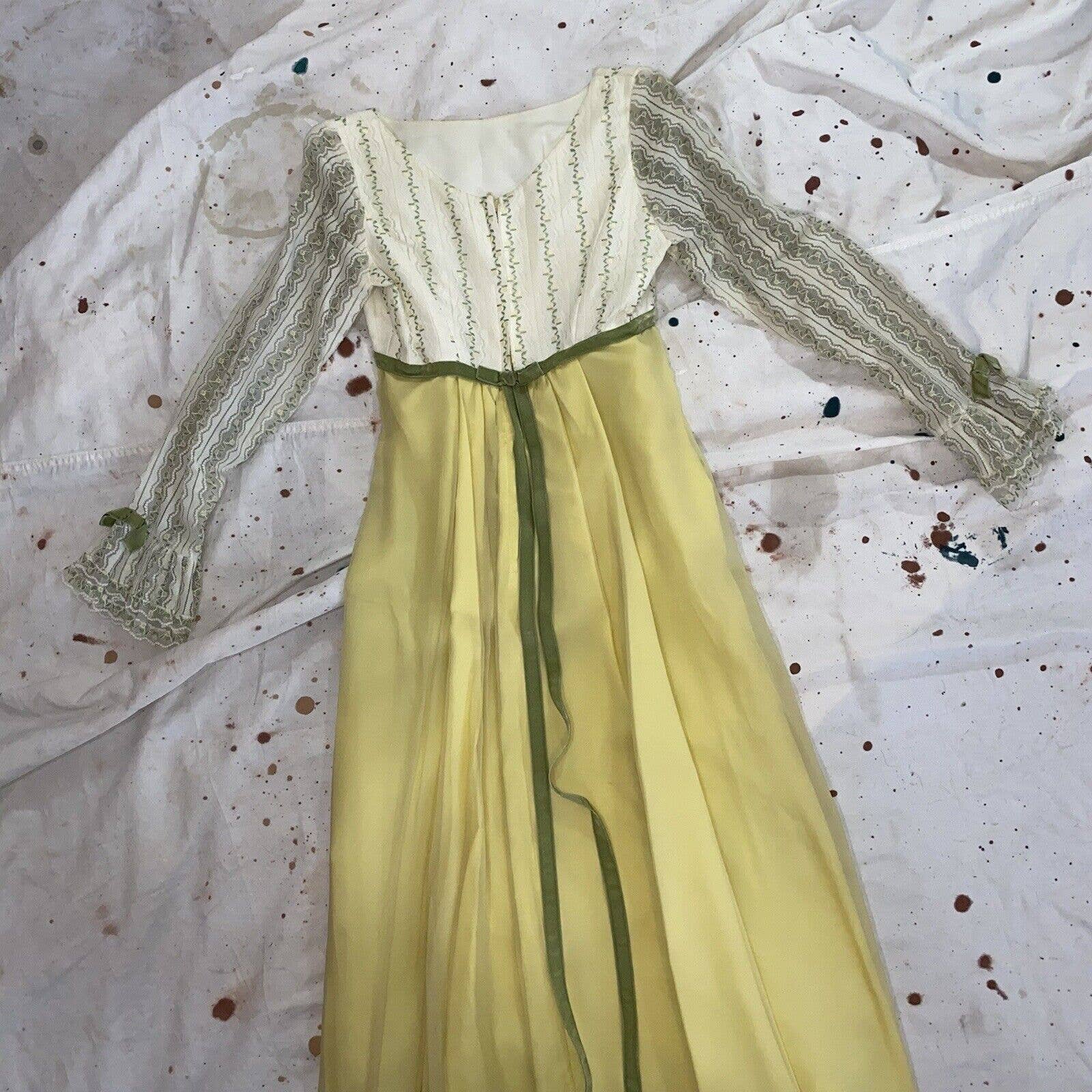 Vintage 60s Long Sleeve Empire Waist Maxi Dress Regency Lace Chiffon Velvet - Image 3
