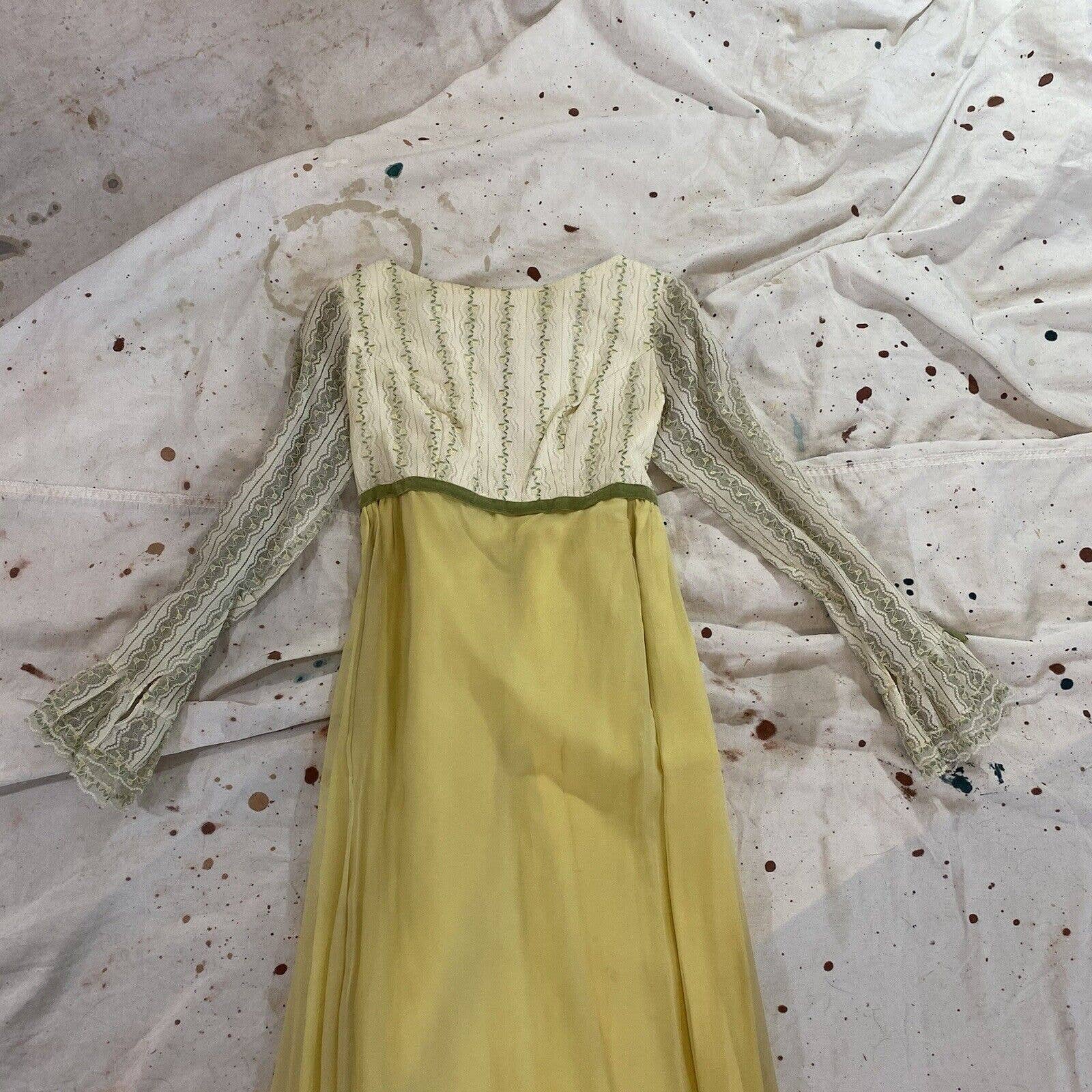 Vintage 60s Long Sleeve Empire Waist Maxi Dress Regency Lace Chiffon Velvet - Image 4