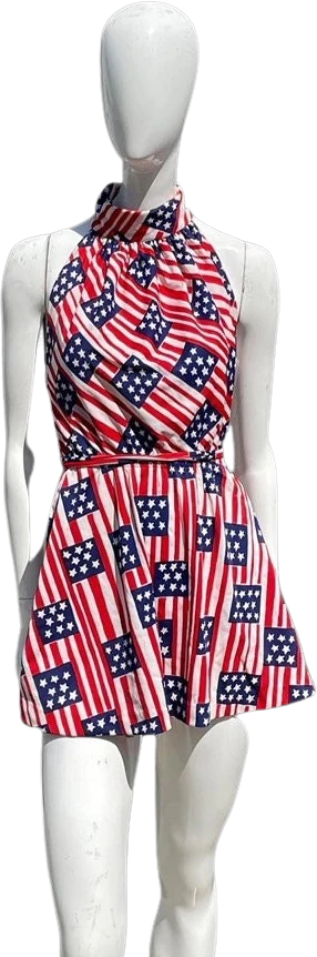 Vintage 70s Bicentennial Novelty Print Pool Dress Sexy Halter Mini Dress Criss Crossed Back Size Small by The Twins Miami by the twins