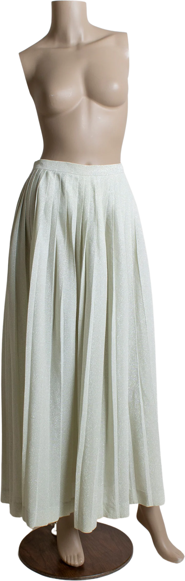 Vintage 70s Silver Lurex Maxi Skirt Pleated Floor Length Skirt Miss Shaheen Glamour Small Medium 28" Waist by Miss Shahee