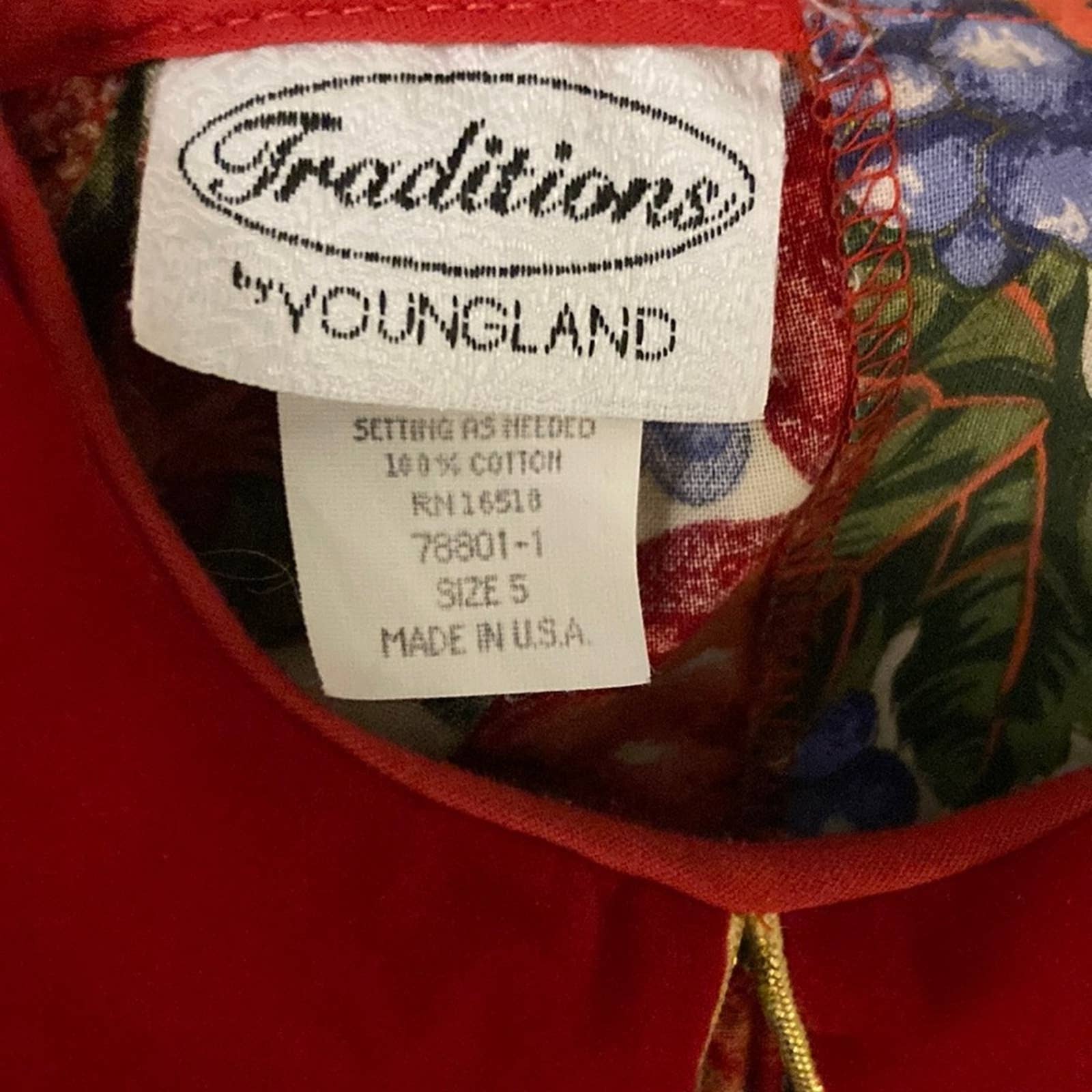 Vintage 80s 90s Kids Girls Christmas Party Dress 5 Novelty Fruit Print Formal by Youngland - Image 5