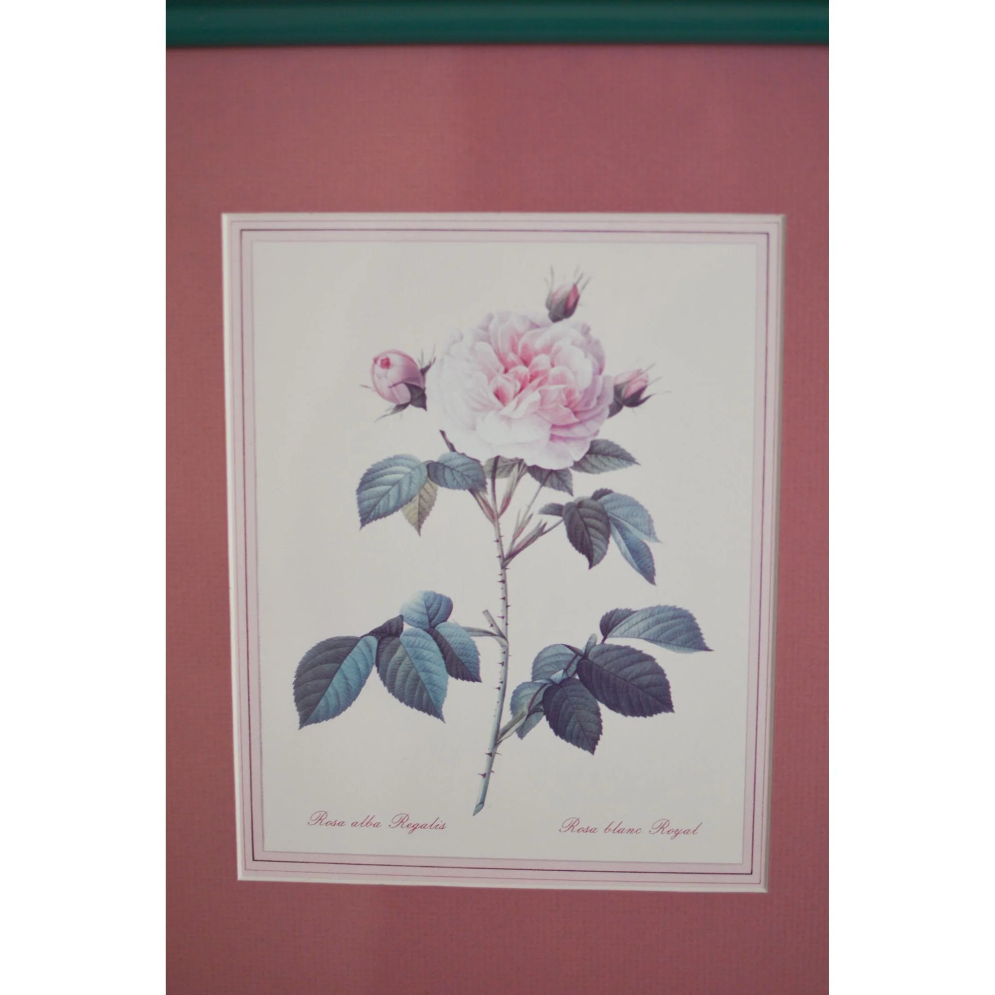 Vintage Botanical Prints Roses Frames Sage Flowers Sage Green Set of 4 Metal Romantic - Image 6