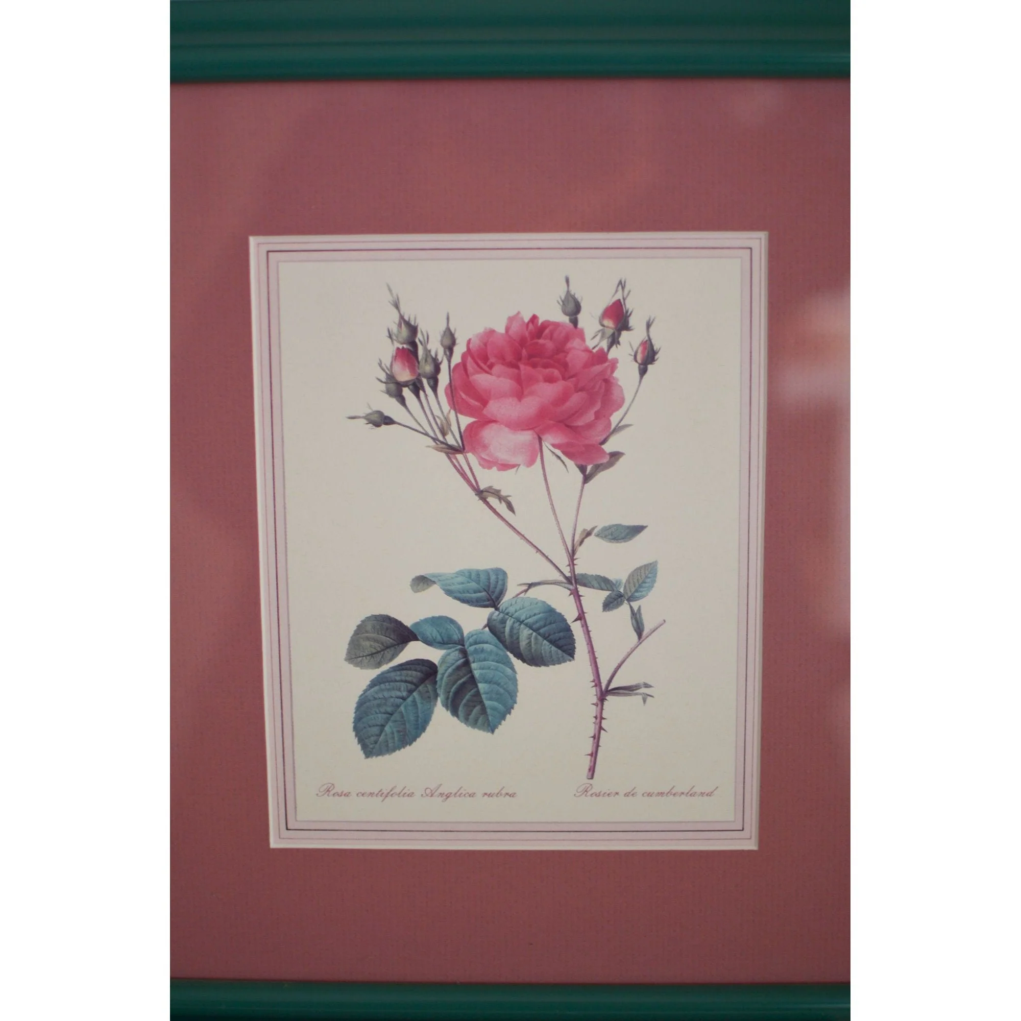 Vintage Botanical Prints Roses Frames Sage Flowers Sage Green Set of 4 Metal Romantic - Image 8