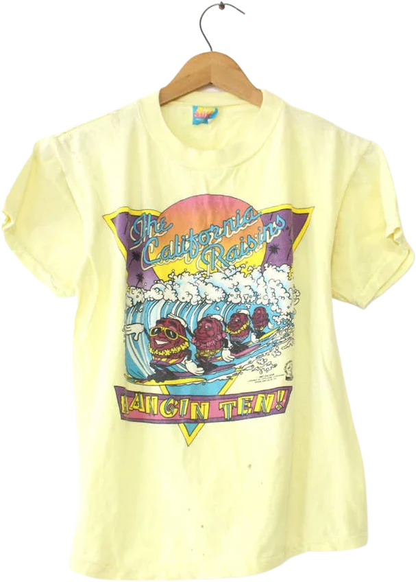 Vintage Kids California Raisins Hang Ten T-Shirt Xl by Sun