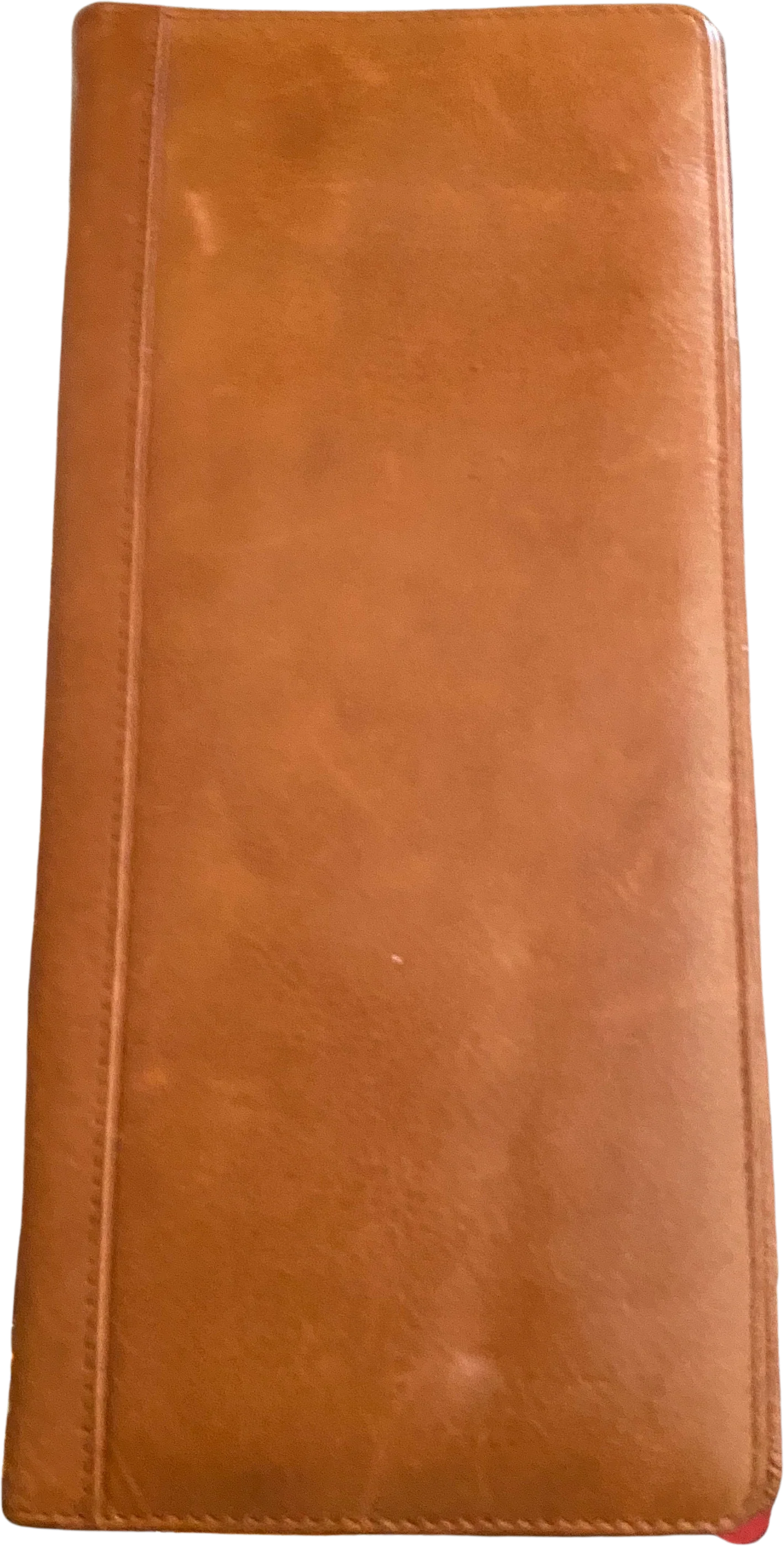 Vintage Leather by Dilana Excellent Condition by Dilana