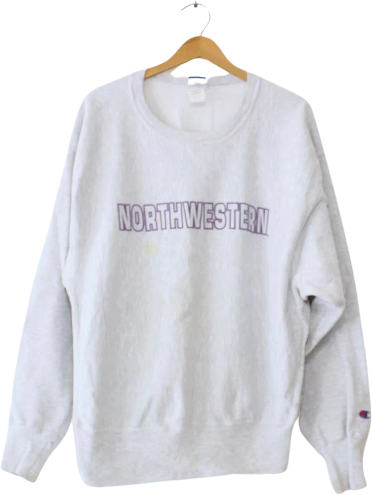 Vintage Northwestern University Illinois Wildcats Sweatshirt Xl by Champion