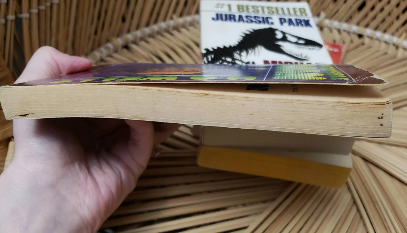 Vintage Sci-Fi Paperbacks Jurassic Park Invisible Man Dune I Sing The Body Electric Image of The Beast by Steven Spielberg - Image 10