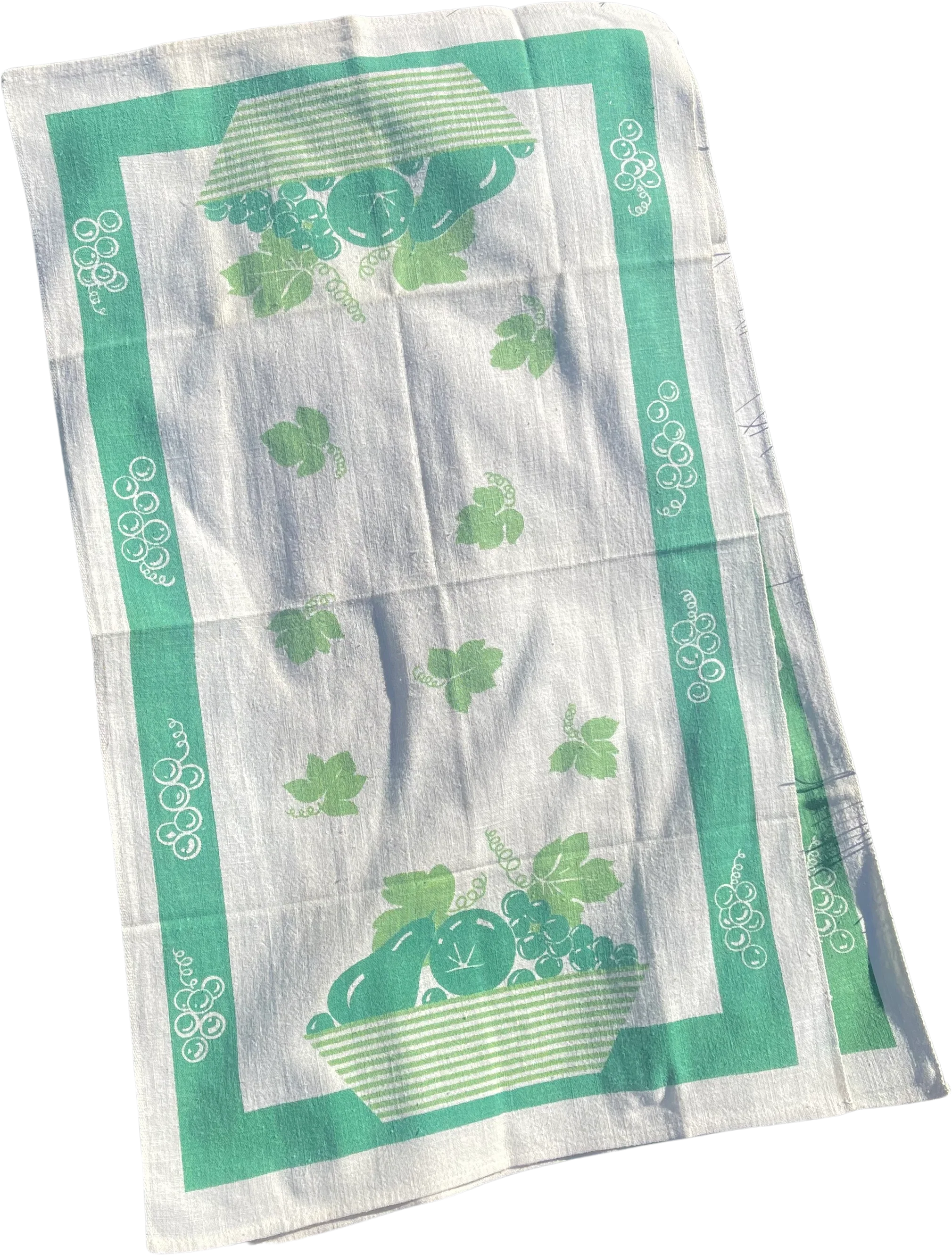 Vintage Set Of 2 Green Tea Towels By Cannon