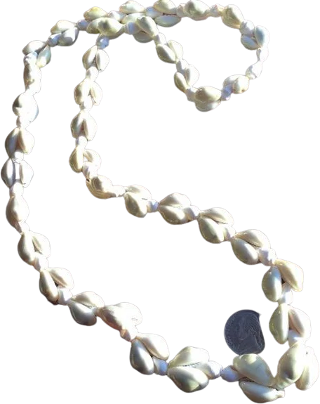 Vintage Shell Necklace Double Strung Polished Graduated 30” by Cowrie and Conch