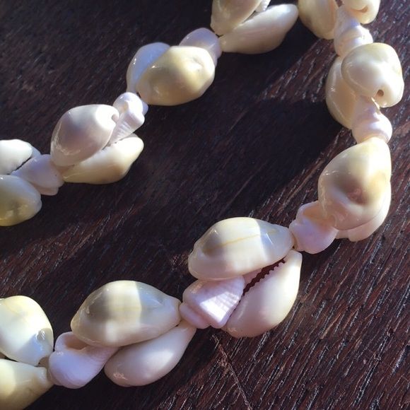 Vintage Shell Necklace Double Strung Polished Graduated 30” by Cowrie and Conch - Image 3