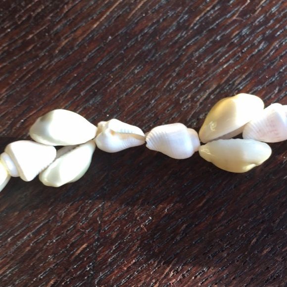 Vintage Shell Necklace Double Strung Polished Graduated 30” by Cowrie and Conch - Image 8