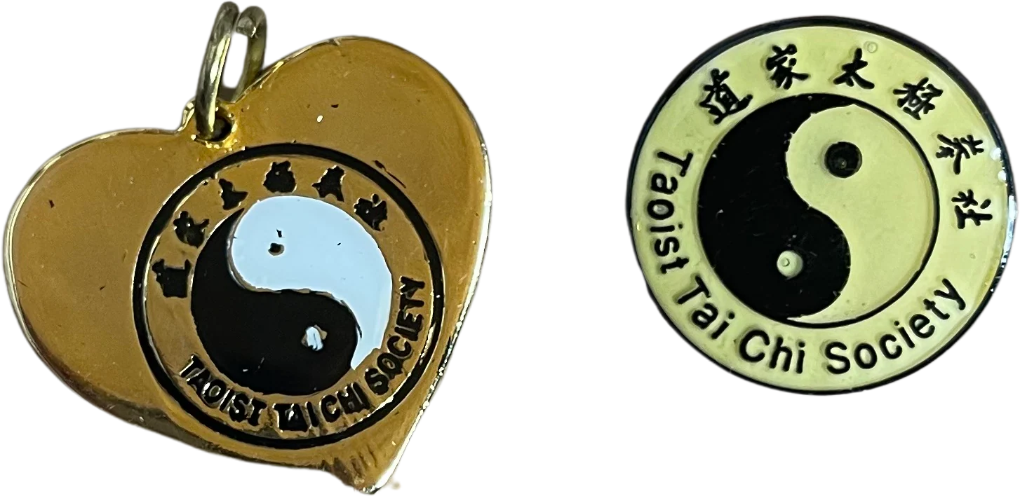 Vintage Taoist Tai Chi Society Pendant And Pin