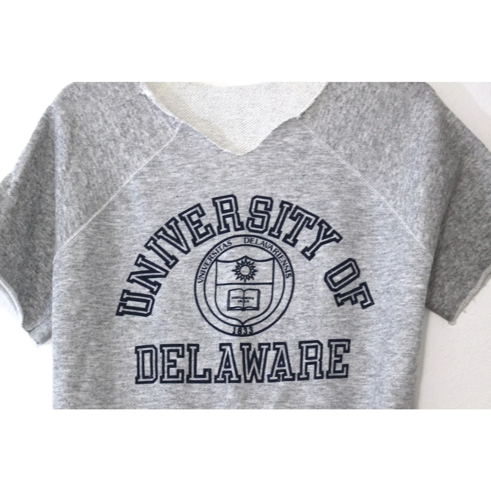 Vintage University of Delaware Blue Hens Sweatshirt Medium - Image 3