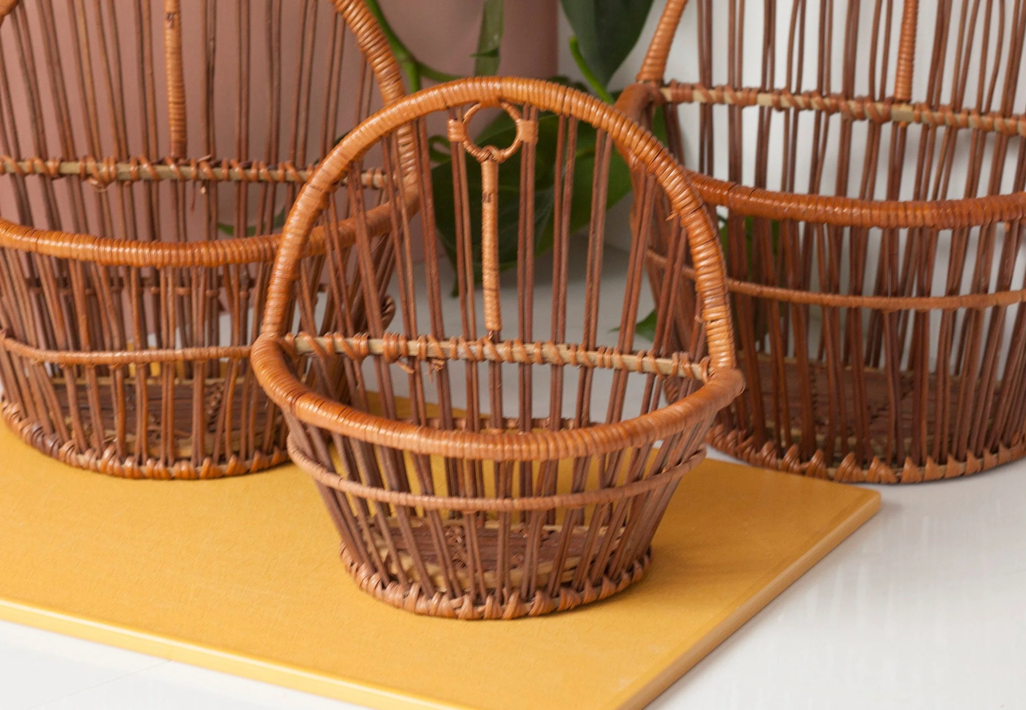Woven Hanging Wall Plant Holder Set of Three Nesting Baskets - Image 2