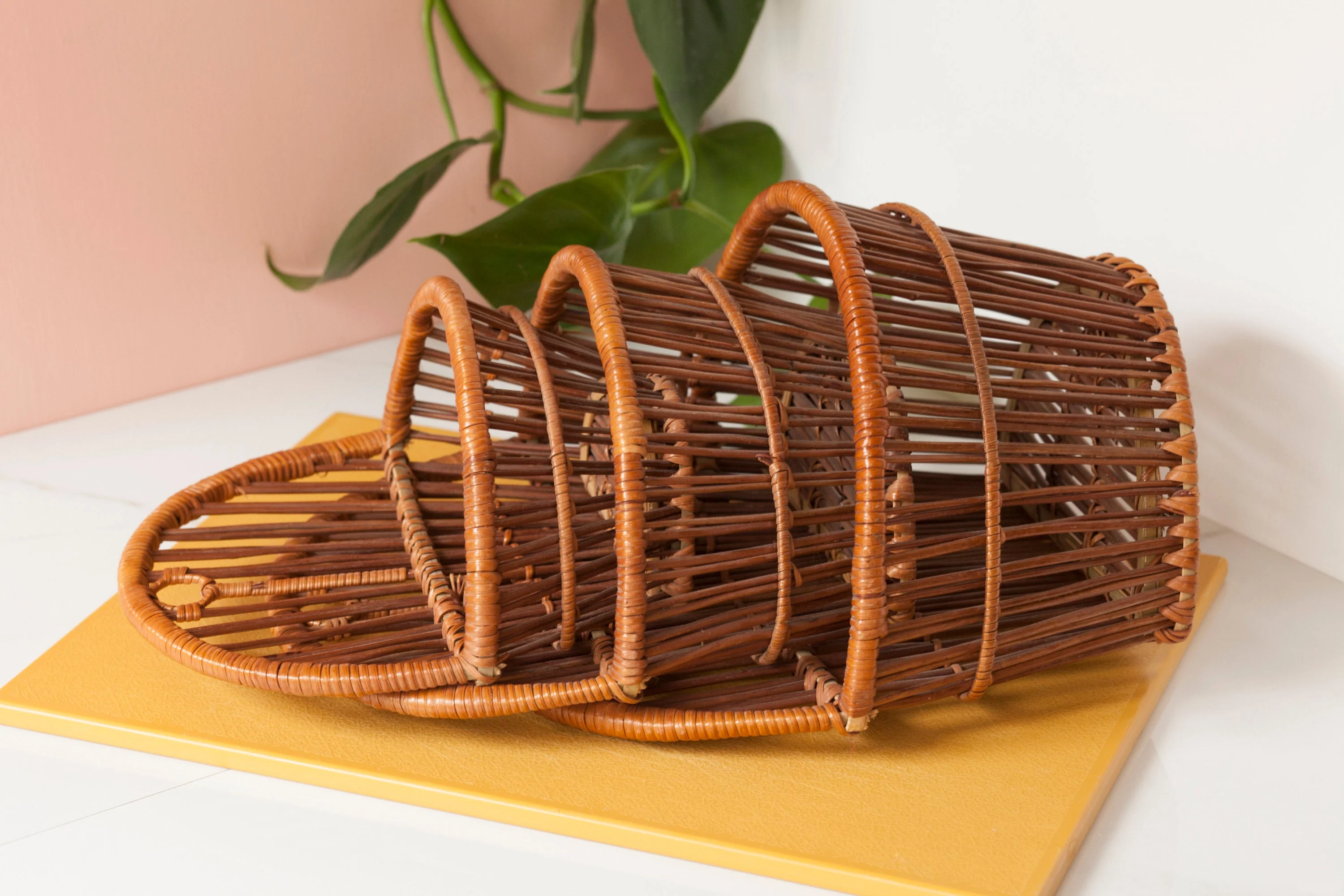 Woven Hanging Wall Plant Holder Set of Three Nesting Baskets - Image 8