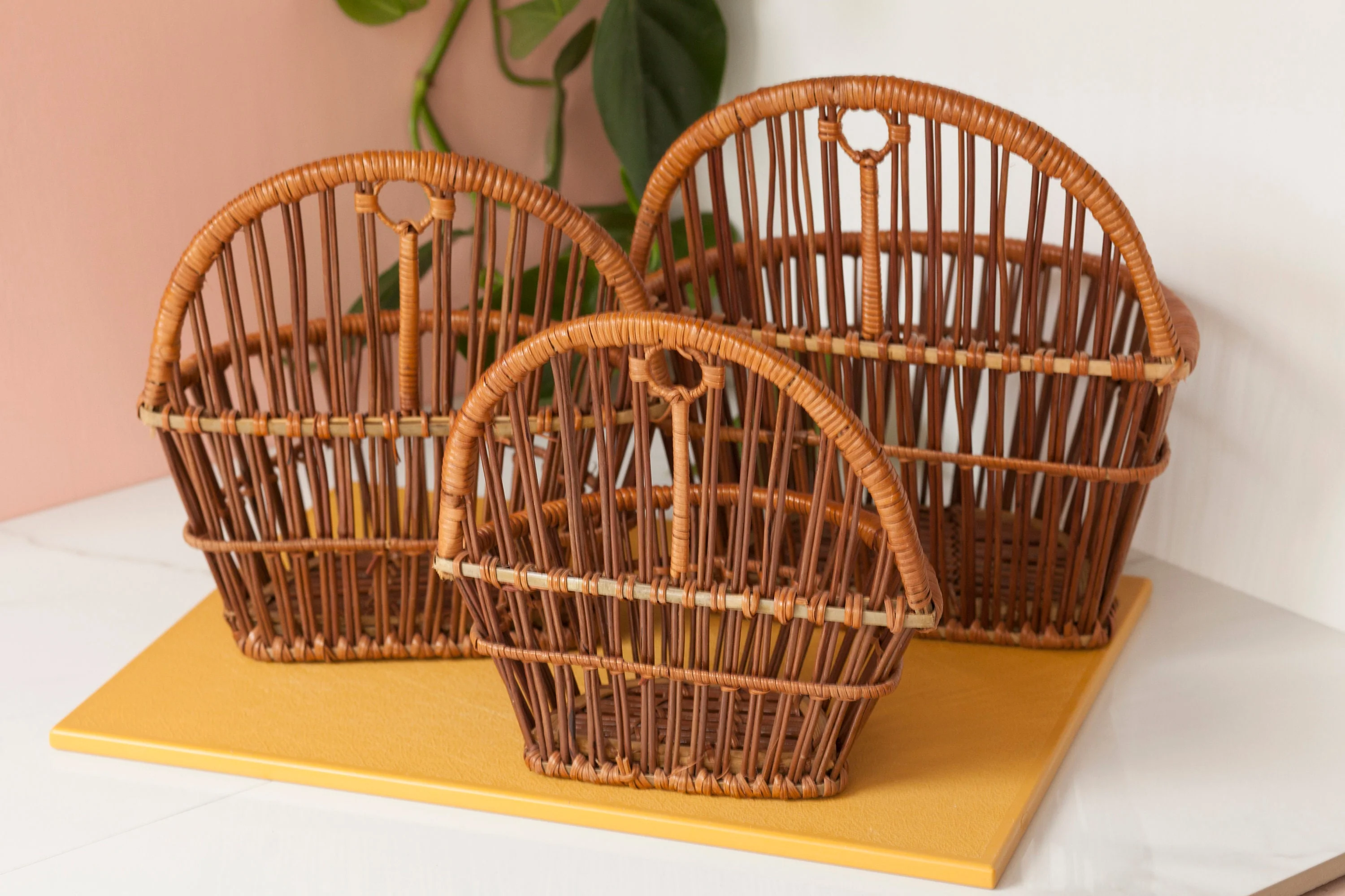 Woven Hanging Wall Plant Holder Set of Three Nesting Baskets - Image 9